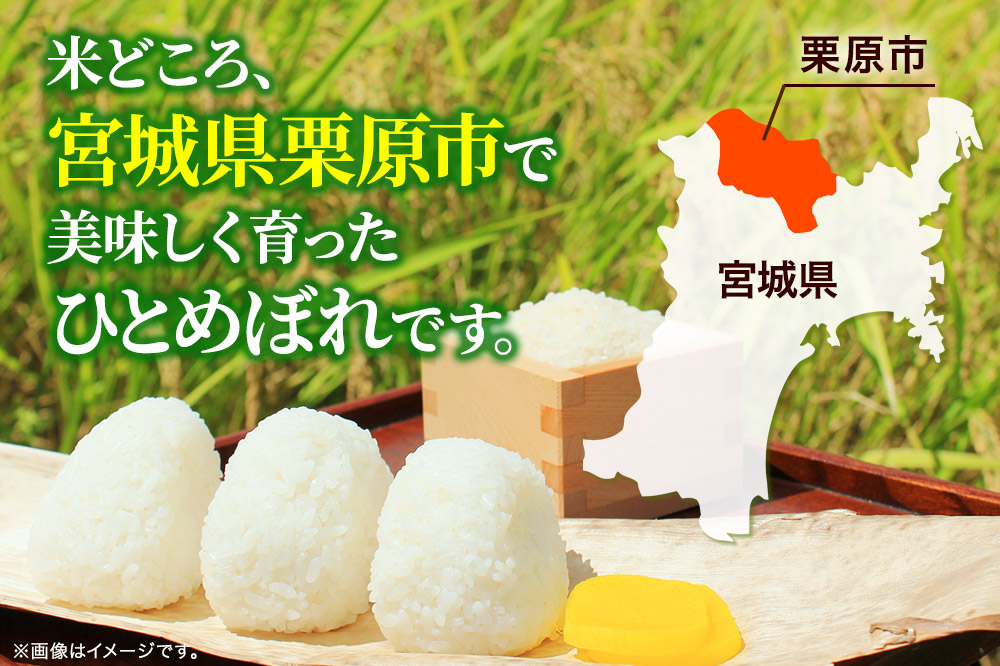 期間限定 【白米】《定期便3ヶ月》令和7年産 宮城県栗原産 ひとめぼれ 10kg（5kg×2袋）×3ヶ月 さっぱり モチモチ おにぎり お弁当