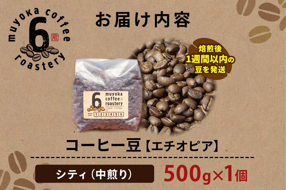 コーヒー豆 エチオピア シティ 500g×1個