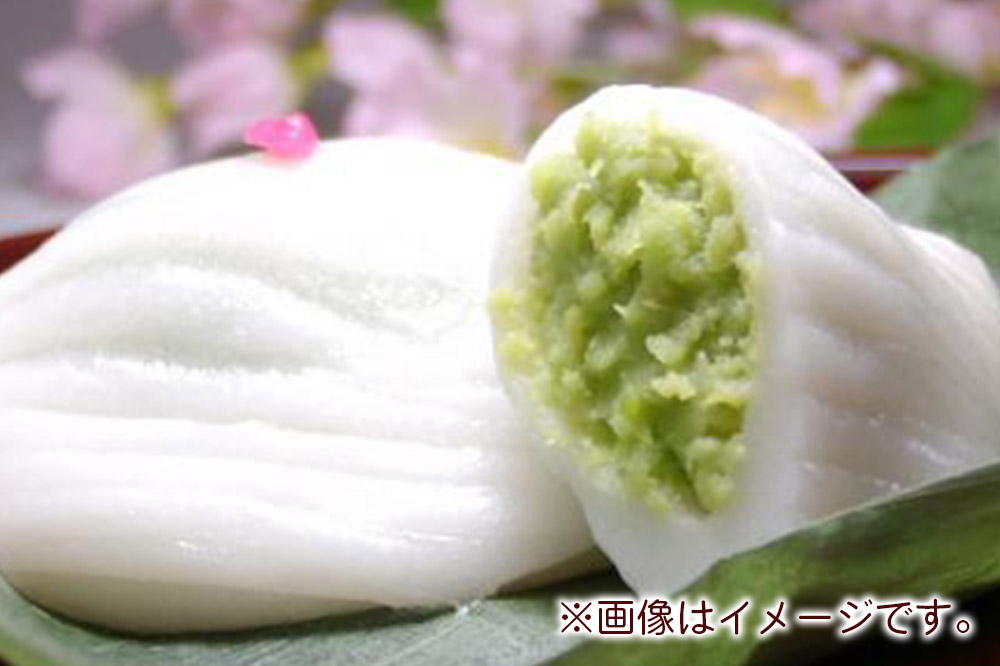 栗駒山麓のめぐみ しんこもち10品セット 餅 もち もちっ小屋でん もちでん