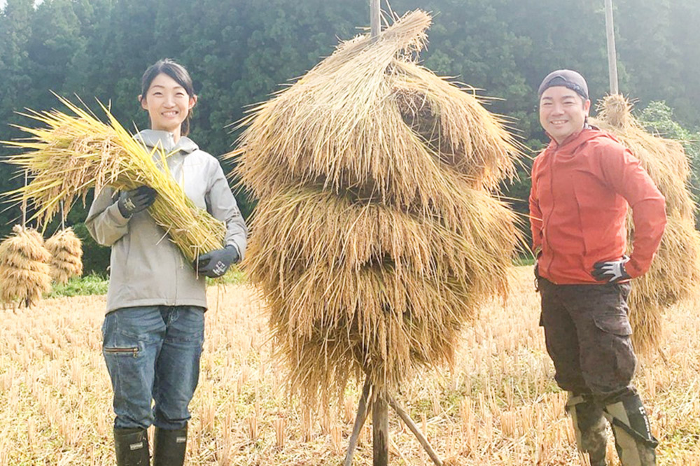 【白米】令和7年産 (栽培期間中)農薬化学肥料不使用・天日干し自然乾燥のお米 5kg