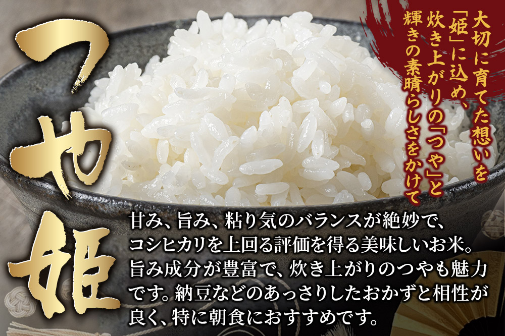 【ブランド米・食べ比べ】宮城県産 つや姫・ササニシキ・だて正夢 令和7年産 白米 2kg×3品種