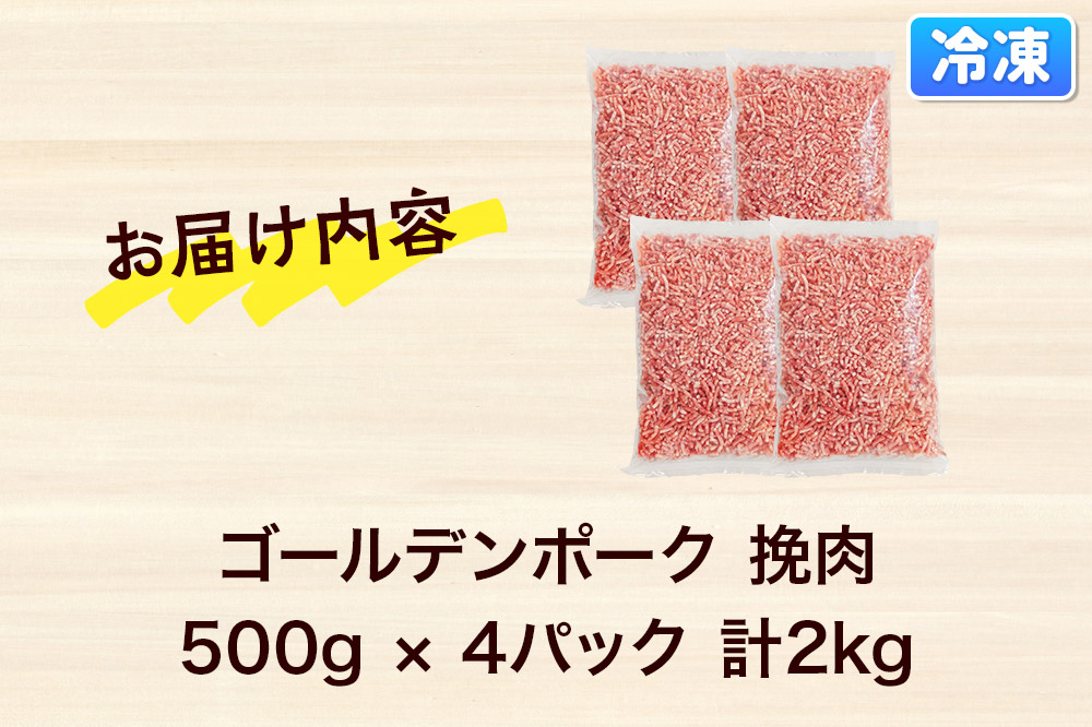 肉 豚 【冷凍】ゴールデンポーク 挽肉 2kg セット 257016R