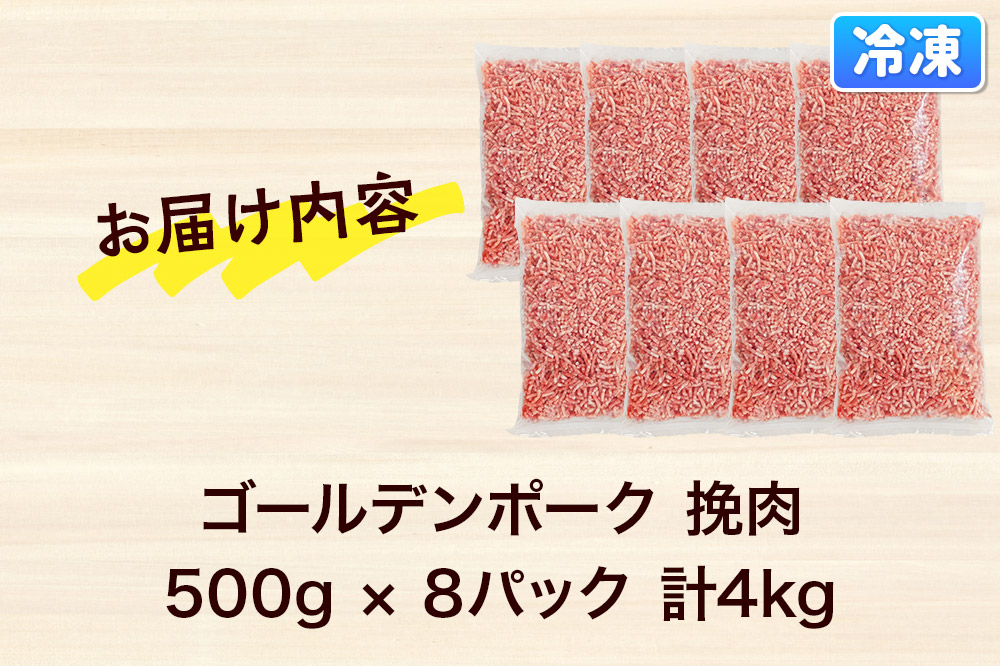 肉 豚 【冷凍】ゴールデンポーク 挽肉 4kg セット 257016U