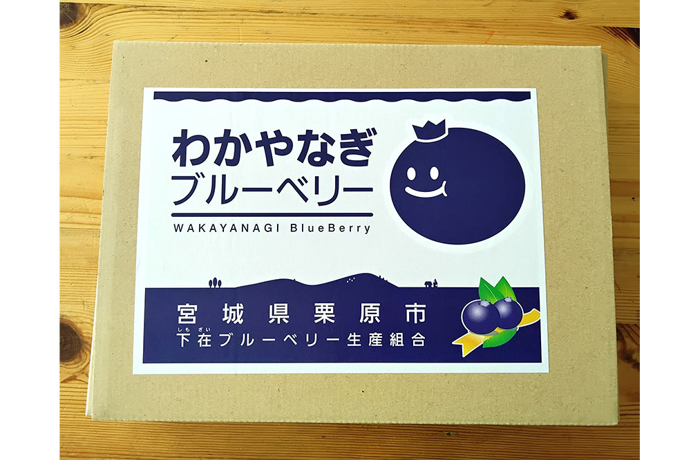 ブルーベリージャム 250g×4個