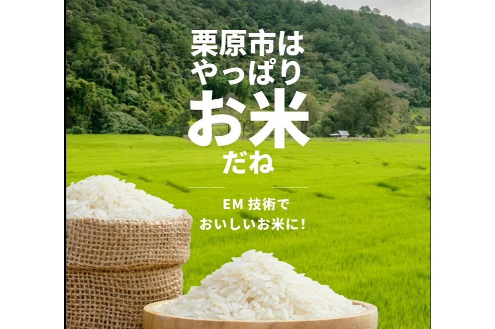 【EM栽培米・白米】宮城県栗原市産 つや姫 2kg