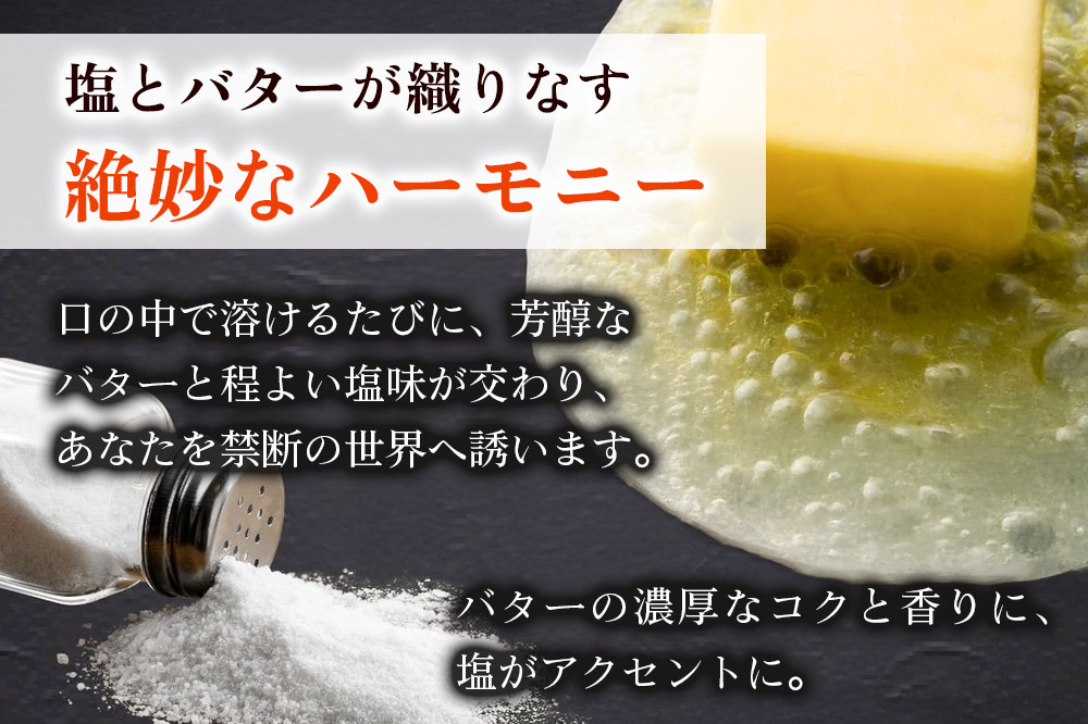 ねんりん最中（塩バター最中）6個入 和菓子 老舗 喜久乃家