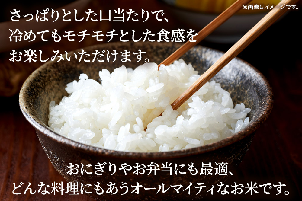 期間限定 【白米】《定期便3ヶ月》令和7年産 宮城県栗原産 ひとめぼれ 10kg（5kg×2袋）×3ヶ月 さっぱり モチモチ おにぎり お弁当