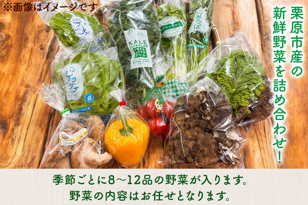 くりはら野菜セット（旬のおまかせ詰め合わせ  8～12品 ）