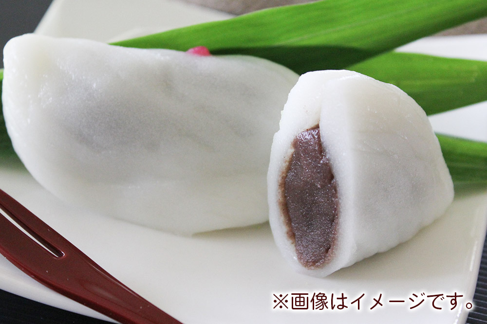 栗駒山麓のめぐみ しんこもち10品セット 餅 もち もちっ小屋でん もちでん