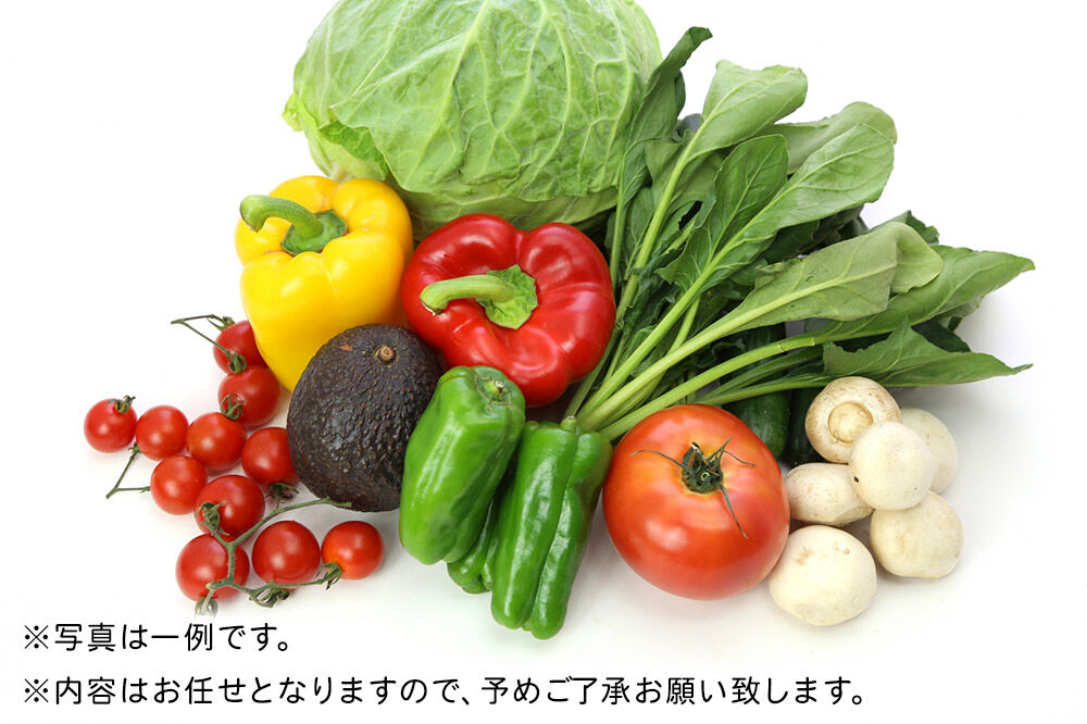 野菜 栗原産 お任せ 野菜セット（8品～12品） 旬の 新鮮 お野菜
