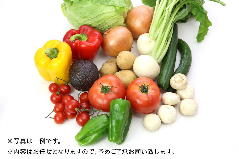 野菜 栗原産 お任せ 野菜 セット（10品～15品） 旬の 新鮮 お野菜