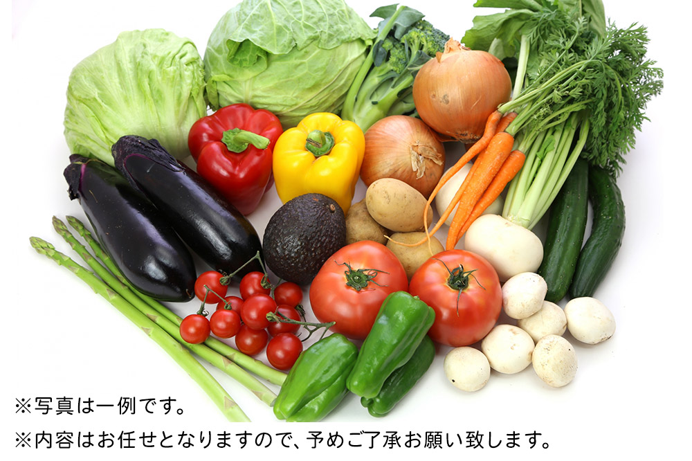 栗原産 お任せ野菜セット（12品～17品）