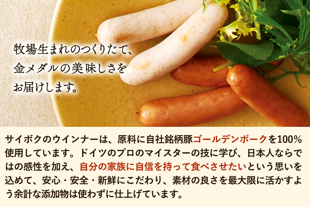 ソーセージ 焼豚とソーセージ2種のギフトセット 46FH