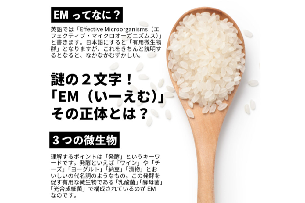 【EM栽培米・白米】宮城県栗原市産 つや姫 2kg