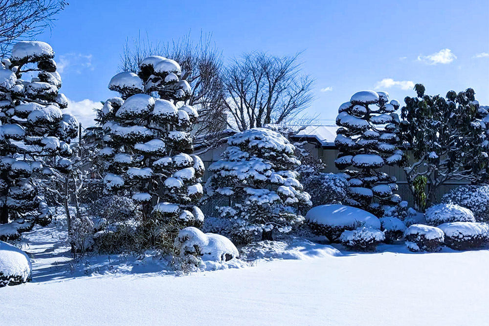 日本酒 純米大吟醸「阿佐緒」2本入りセット