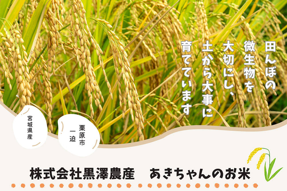 《令和7年産》【玄米】栗原市産 つや姫 30kg （30kg×1袋） ブランド米 黒澤農産 宮城県 栗原市