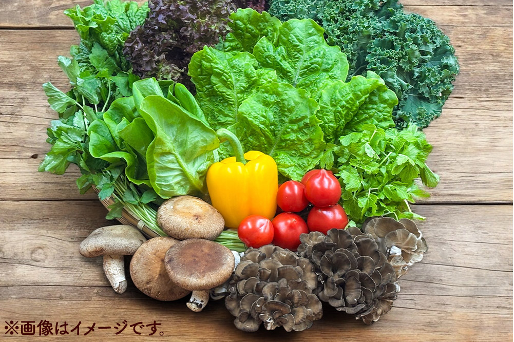 くりはら野菜セット（旬のおまかせ詰め合わせ  8～12品 ）