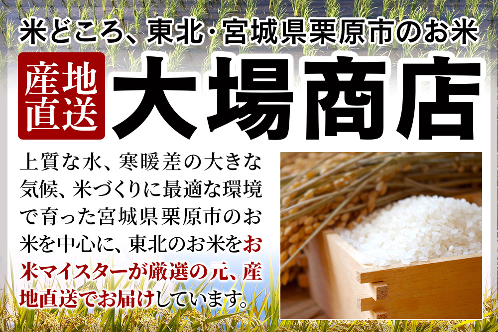 《定期便12ヶ月》【令和7年産・白米】宮城県栗原産 ひとめぼれ 毎月5kg (5kg×1袋)×12ヶ月