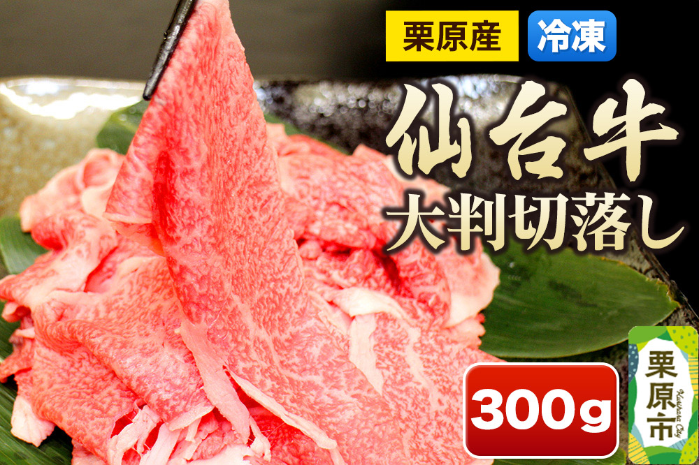 栗原産仙台牛 大判切落し 300g