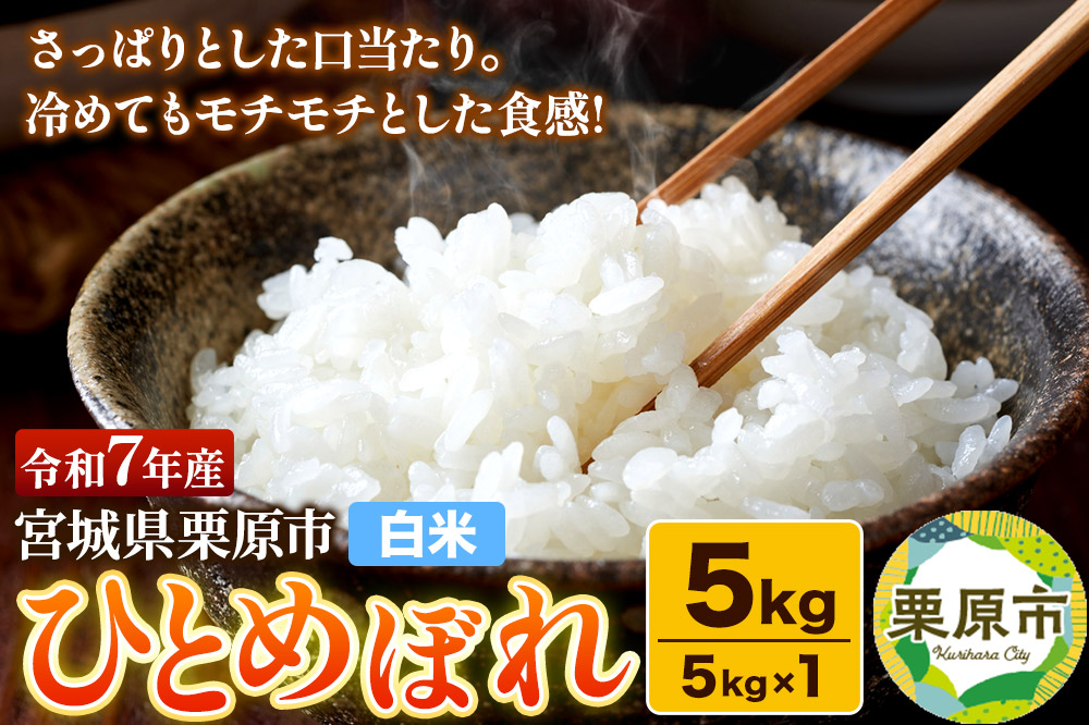 【白米】令和7年産 宮城県栗原産 ひとめぼれ 5kg（5kg×1袋）さっぱり モチモチ おにぎり お弁当