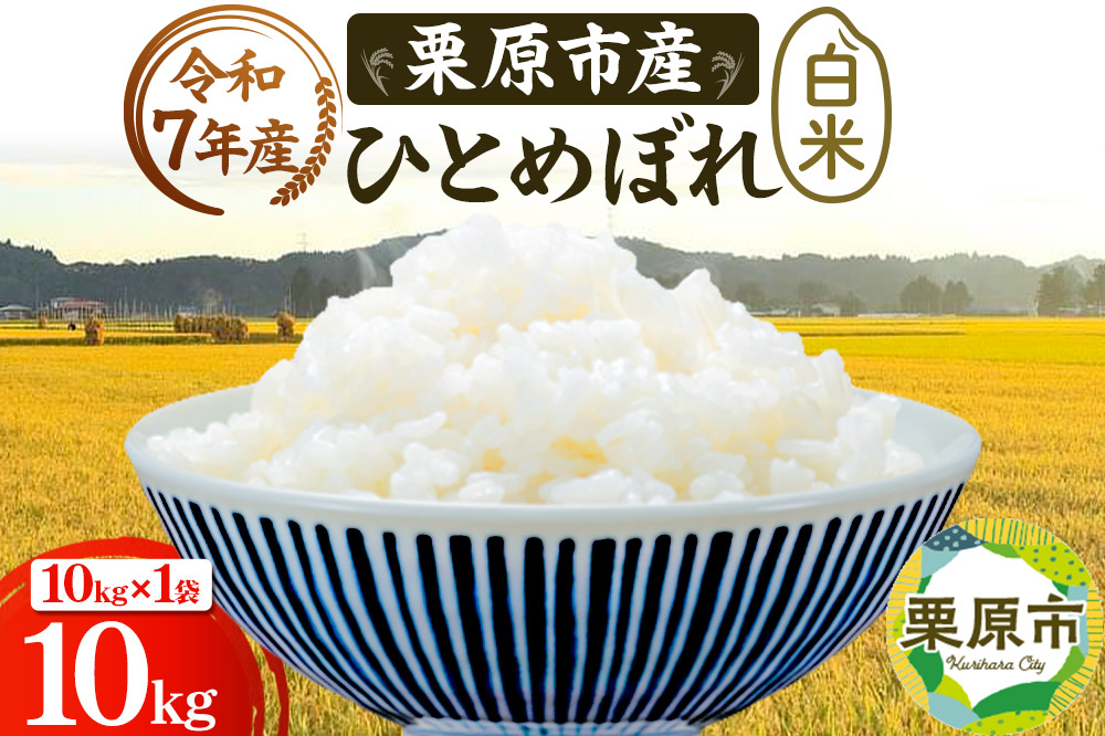 《令和7年産》【白米】栗原市産 ひとめぼれ 10kg （10kg×1袋） 精米 ブランド米 黒澤農産 宮城県 栗原市