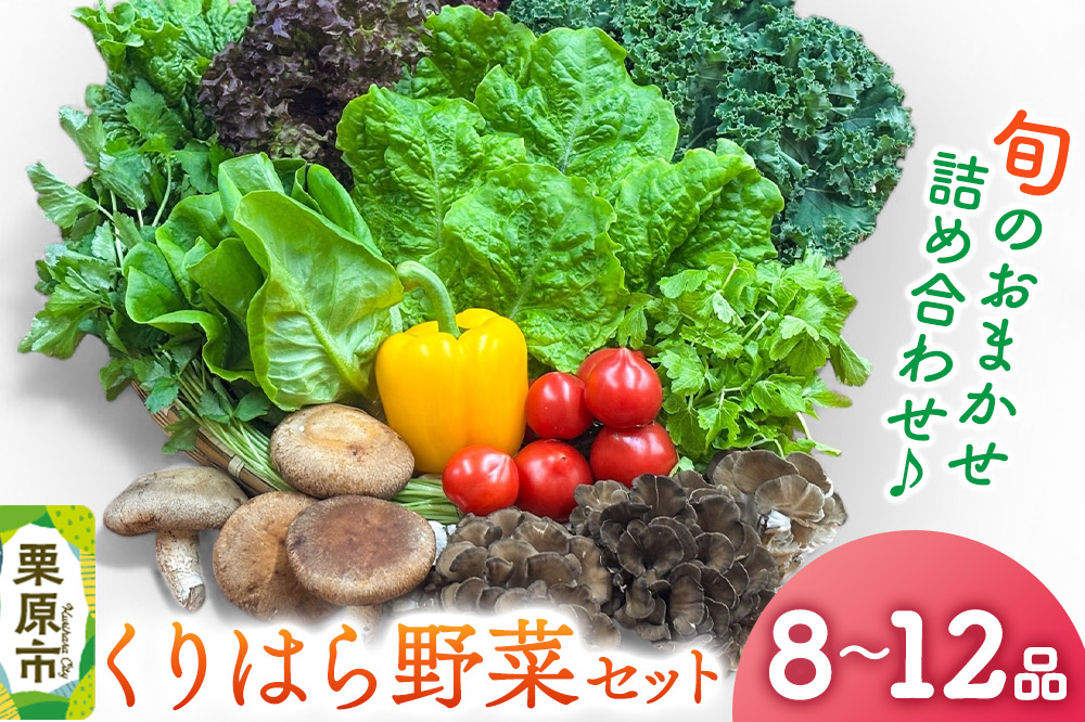 くりはら野菜セット（旬のおまかせ詰め合わせ  8～12品 ）