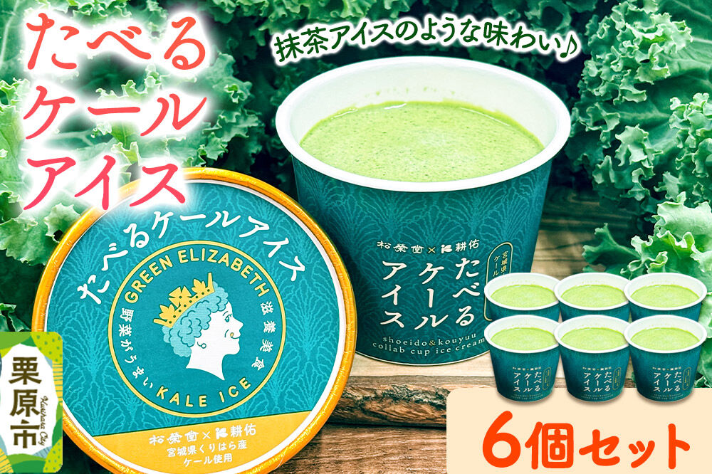 アイスクリーム たべるケールアイス 90ml 6個 入り [ケール 抹茶アイス サラダケール 栗駒山 伏流水 水耕栽培 美味 おいしい 宮城県 栗原市 くりはらファーマーズラボ ケールアイス]