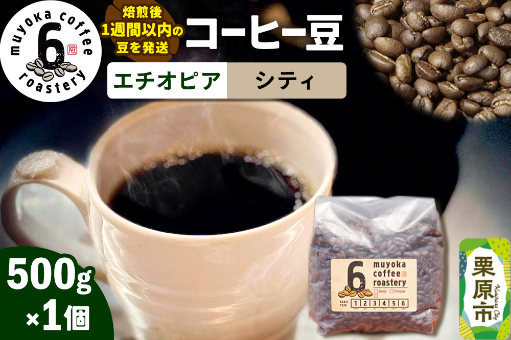 コーヒー豆 エチオピア シティ 500g×1個