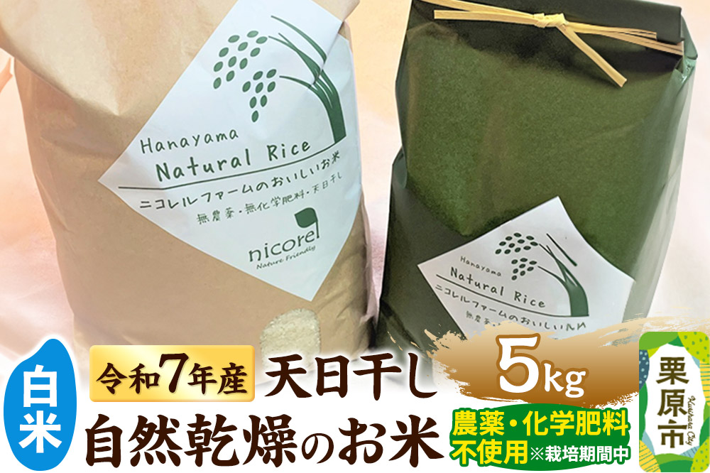 【白米】令和7年産 (栽培期間中)農薬化学肥料不使用・天日干し自然乾燥のお米 5kg