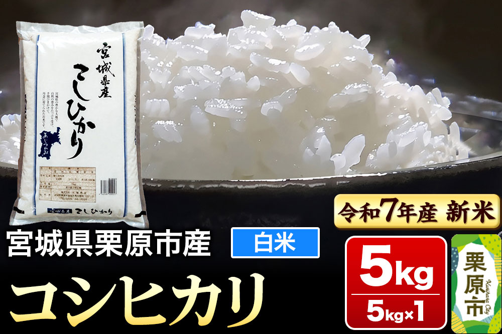 【新米受付】【令和7年産・白米】宮城県栗原市産 コシヒカリ 5kg (5kg×1袋)