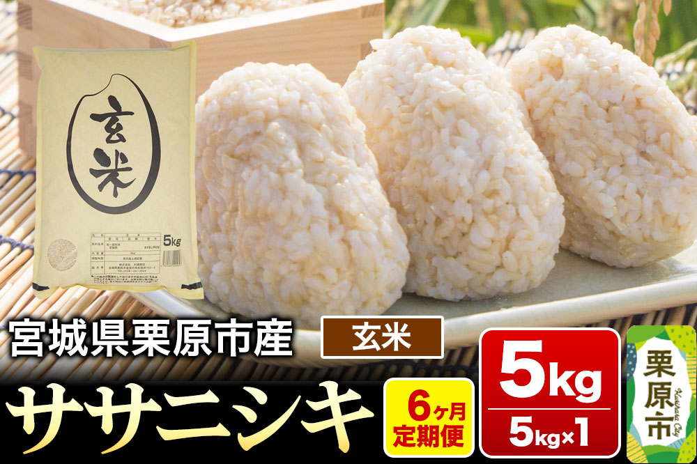 《定期便6ヶ月》【令和7年産・玄米】宮城県産 ササニシキ 毎月5kg (5kg×1袋)×6ヶ月