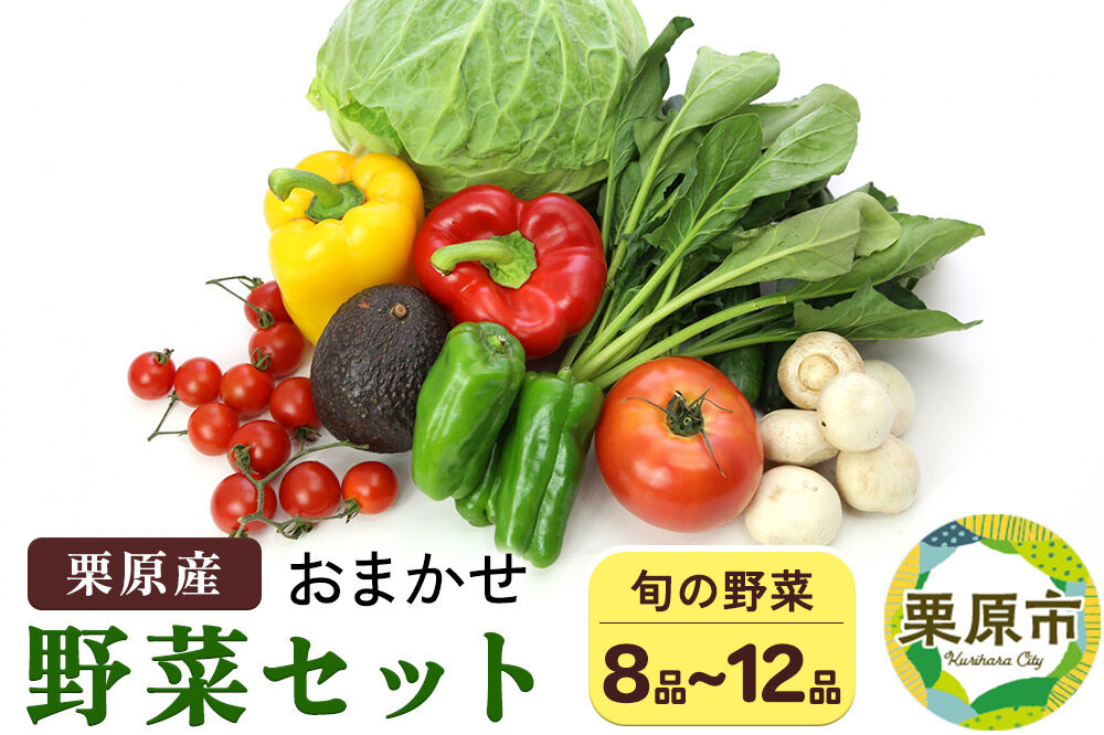 野菜 栗原産 お任せ 野菜セット（8品～12品） 旬の 新鮮 お野菜