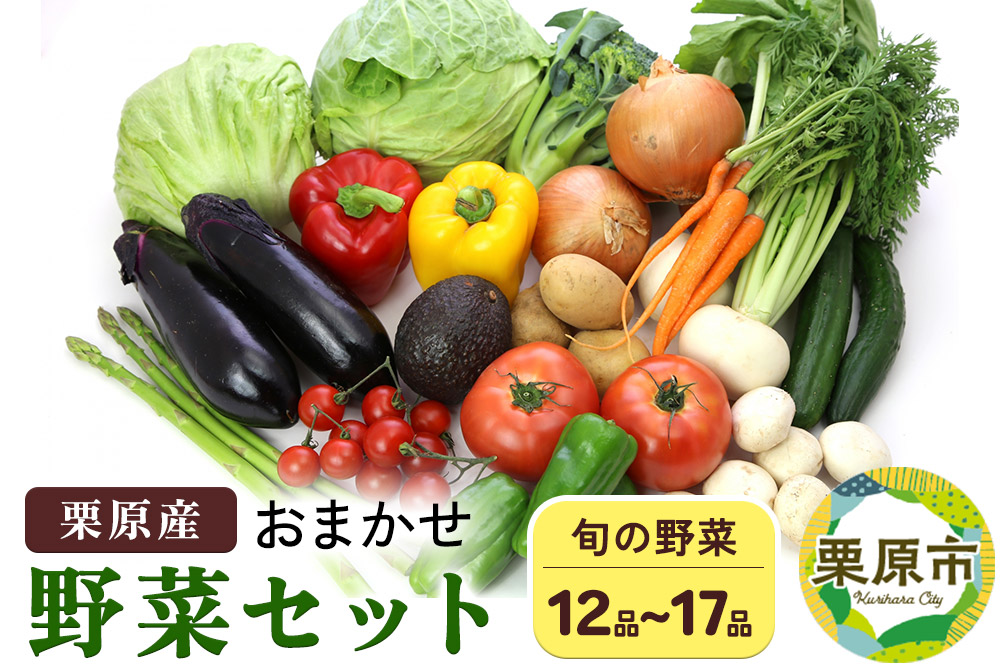 栗原産 お任せ野菜セット（12品～17品）