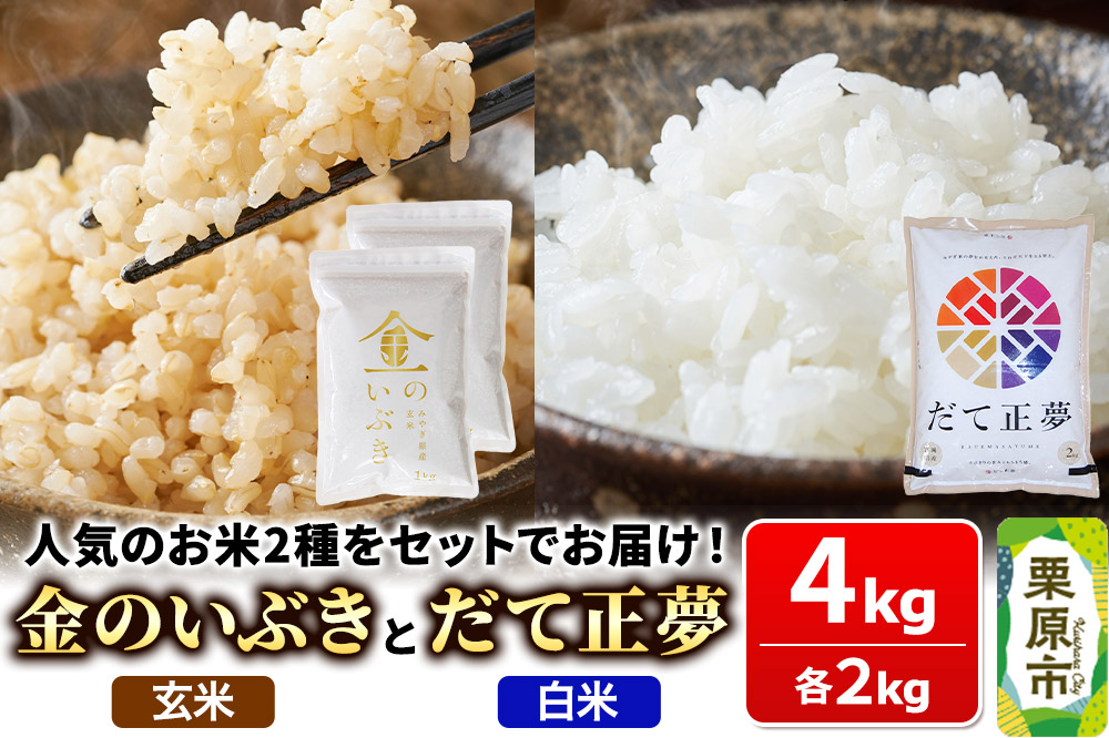 米【玄米】金のいぶき 1kg×2袋【白米】だて正夢 2kg×1袋（合計4kg）2品目 箱入り オリジナルセット