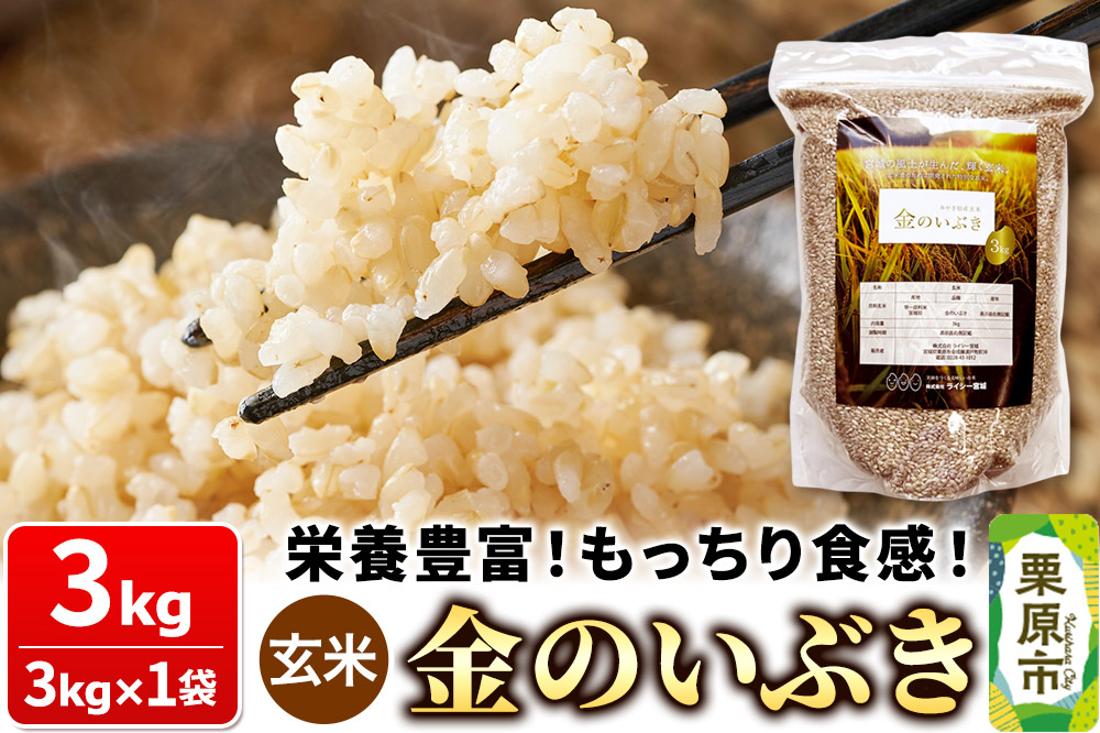 米【玄米】金のいぶき 3kg（3kg×1袋）