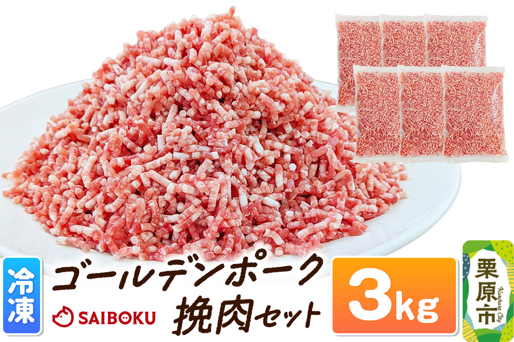 肉 豚 【冷凍】ゴールデンポーク 挽肉 3kg セット 257016T