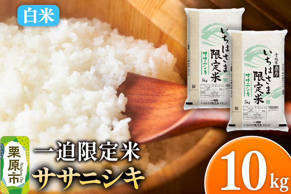 【白米】令和7年産 一迫限定米 ササニシキ 10kg（5kg×2袋）