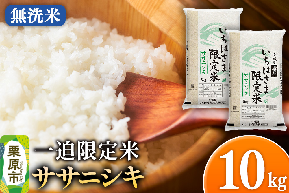 【無洗米】令和7年産 一迫限定米  ササニシキ 10kg（5kg×2袋）