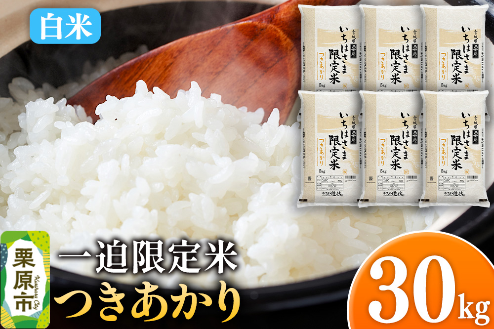 【白米】令和7年産 一迫限定米 つきあかり 30kg（5kg×6袋）