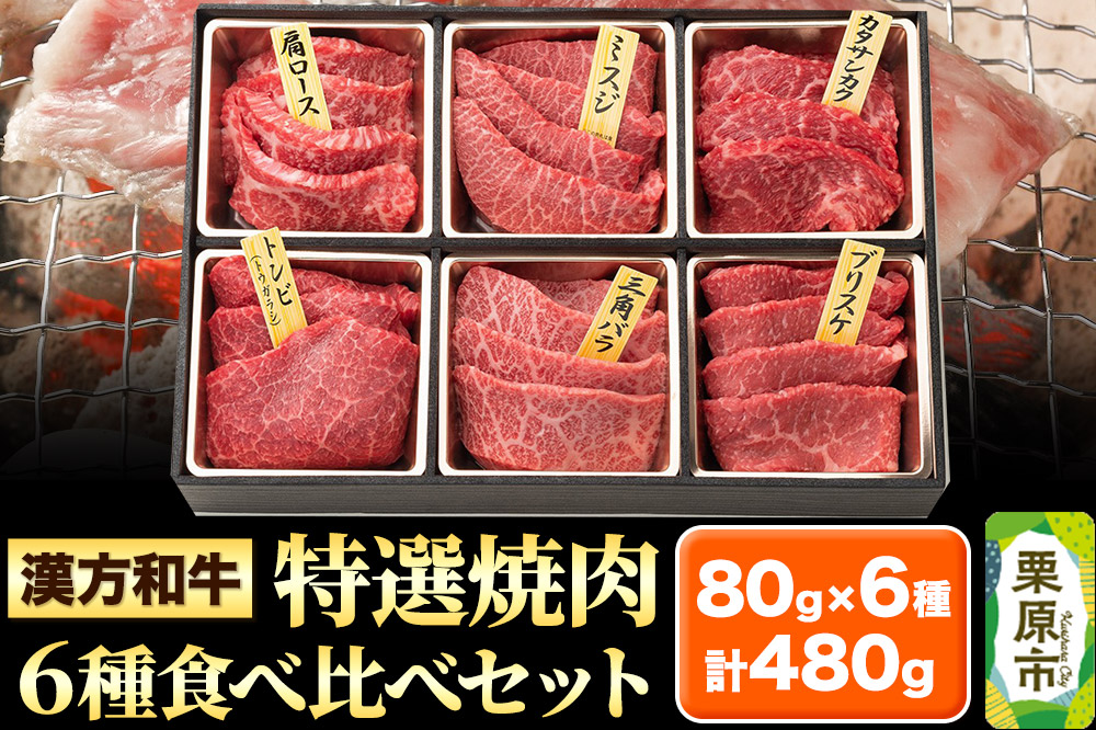 漢方和牛特選焼肉食べ比べセット 80g×6種 計480g 【肩ロース、ミスジ、カタサンカク、トンビ、三角バラ、ブリスケ】牛肉 焼き肉