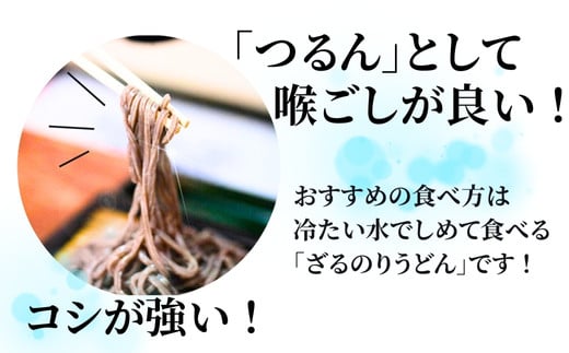 のりうどん 乾麺 5袋 特製つゆ1本付 ふるさと納税限定 10人