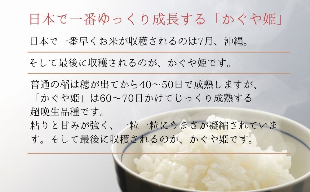 【令和6年産】 新米 12月上旬 発送開始 宮城県産 超稀少品種