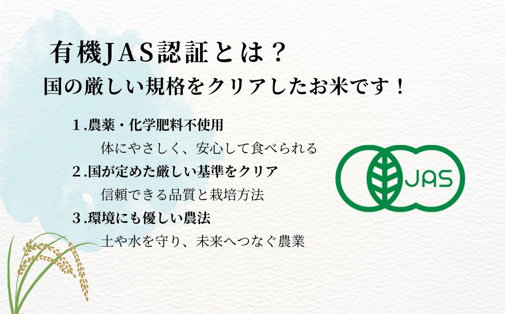 【令和7年産米先行予約】【栽培期間中化学肥料・農薬不使