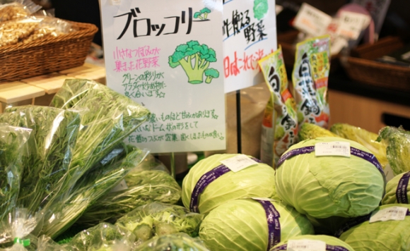 新鮮! 季節の野菜 おまかせ 詰め合わせセット 宮城県 東松