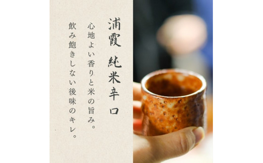 【6】宮城の地酒 1.8l 2本セット《浦霞純米辛口・浦霞本仕込