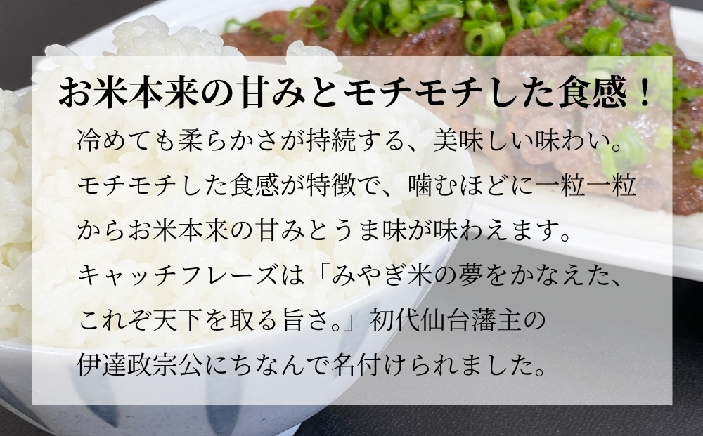 【令和7年産米受付開始！】 【新米】 宮城県産だて正夢（
