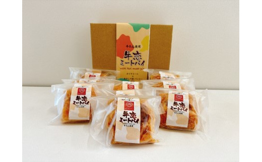 東松島 牛恋 ～牛タンミートパイ～ 9個入り パイ 牛たん 自