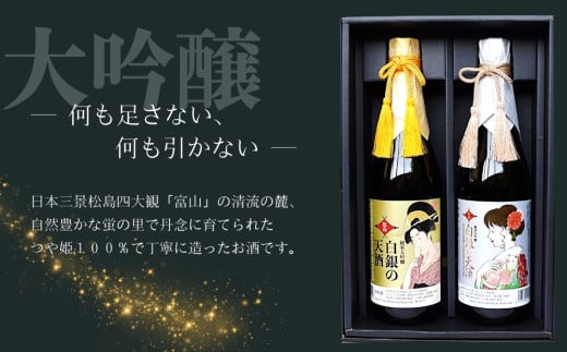 純米大吟醸 「 白銀の天酒 」合計2本セット 720ml × 2本 お酒 