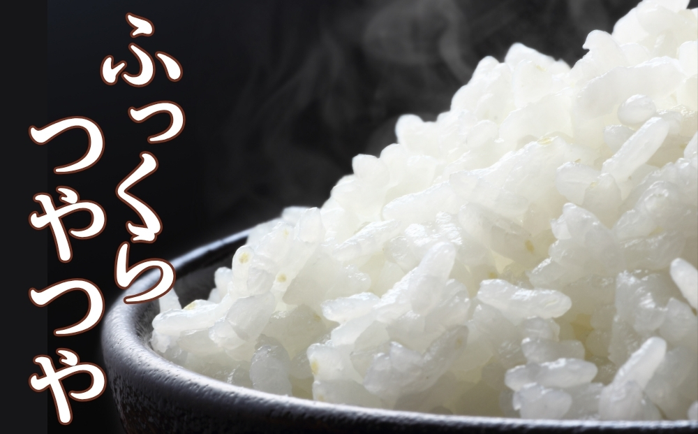 【 令和7年産】【数量限定】【新米】 つや姫 精米 5kg × 1袋 