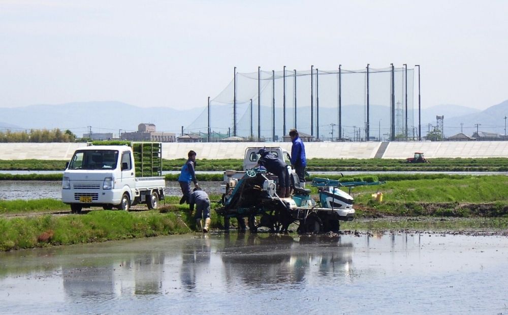 【 令和7年産】【新米】ササニシキ 玄米 20kg × 1袋 宮城県産